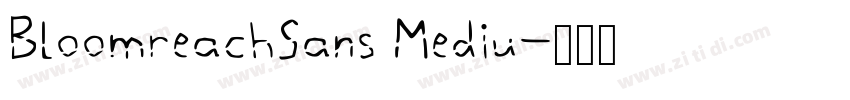 BloomreachSans Mediu字体转换